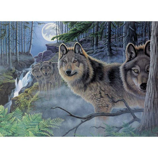 Picture of MYSTICAL MOONLIGHT PAINTING BY NUMBERS